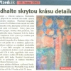 32-2012_18_01_Plzeňák